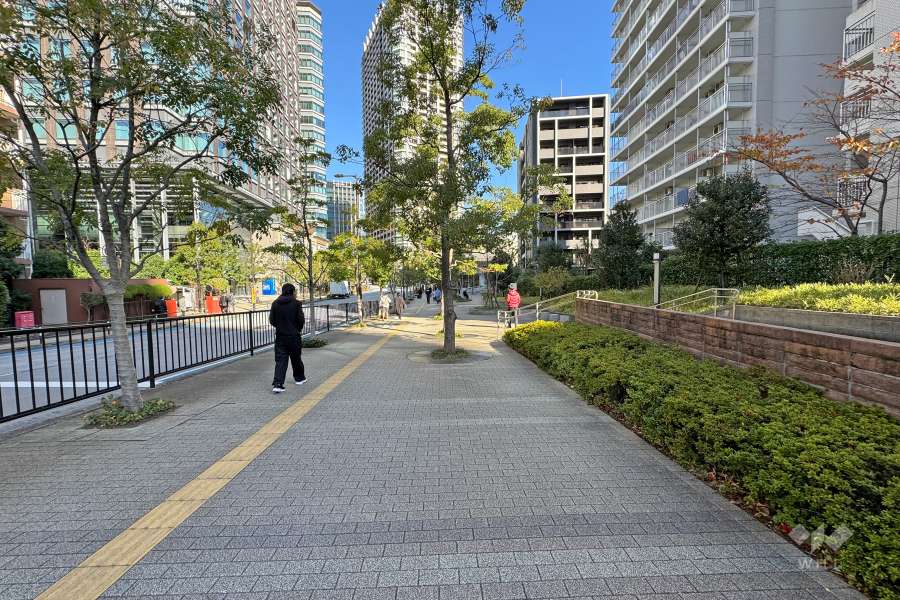 敷地北西側の前面道路（南西側から）