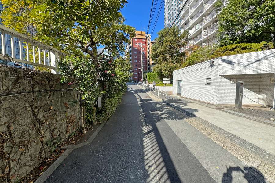 敷地南西側の前面道路（南東側から）