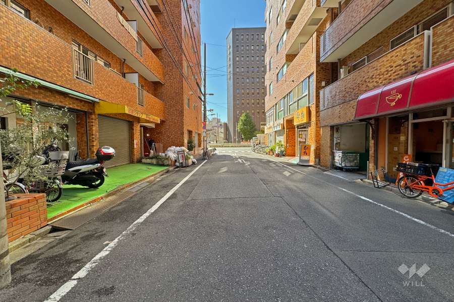 敷地北西側の前面道路（北東側から）