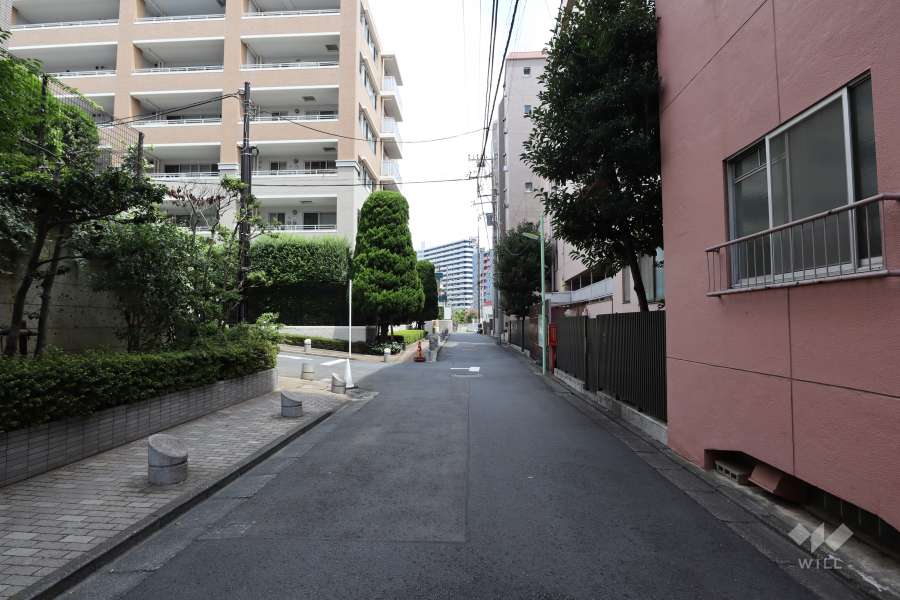 敷地北西側の前面道路(南西側から)