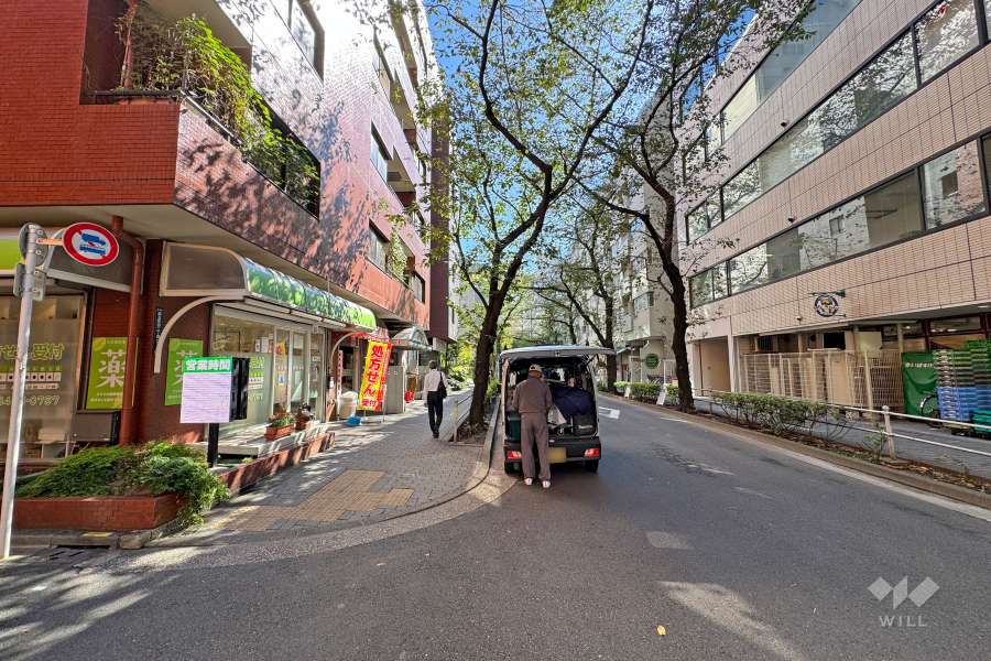 敷地南側の前面道路（西側から）