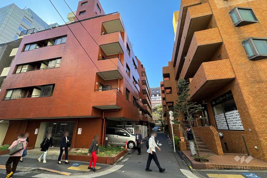 敷地西側の前面道路（北側から）