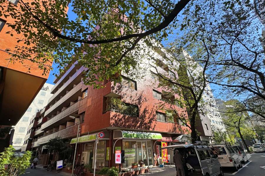 ドルミ五反田アンメゾンの外観（南西側から）