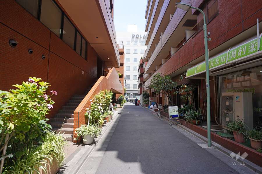 敷地東側の前面道路