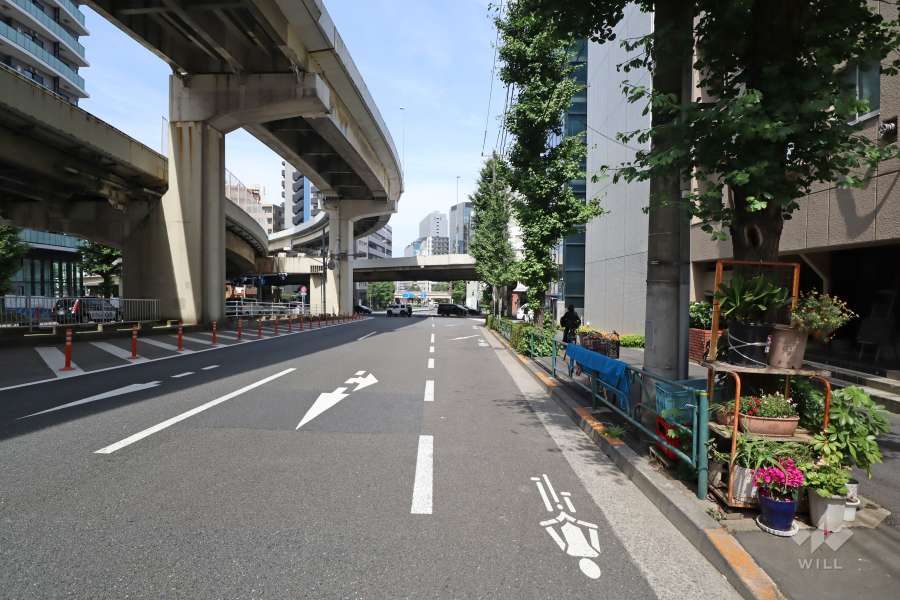 敷地北西側の前面道路(西側から)