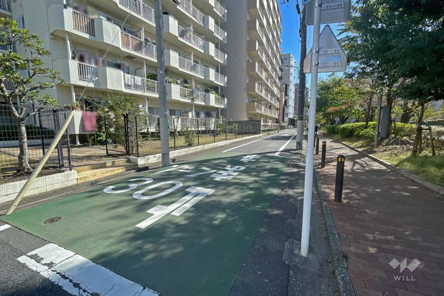 敷地西側の前面道路（北側から）