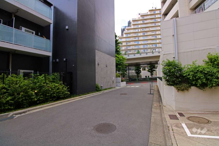 敷地南側の前面道路（東側から）