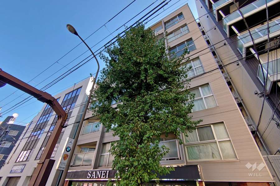 ライオンズマンション荏原第2の外観（西側から）