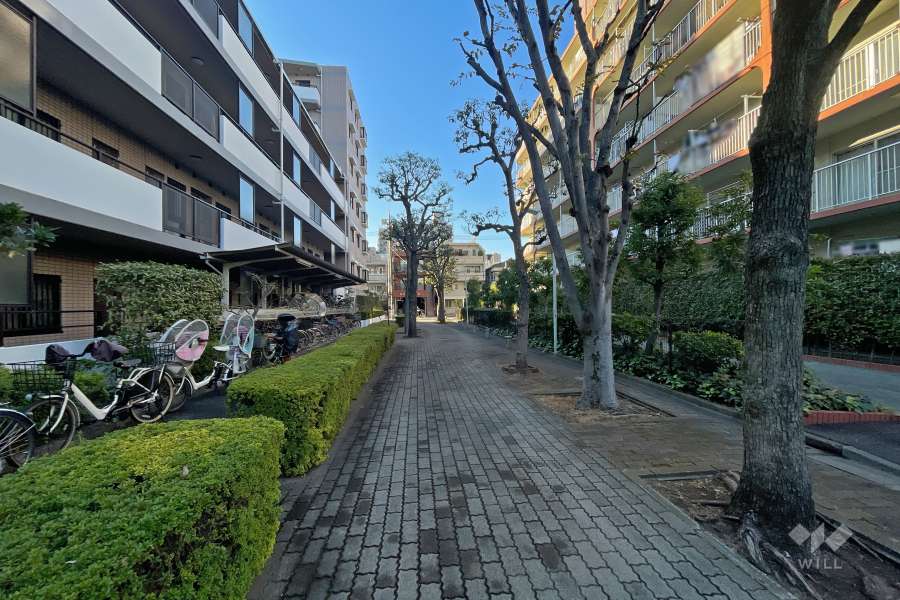 敷地南西側の通路