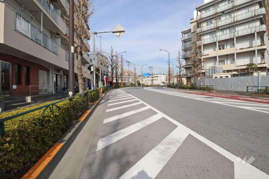 敷地東側の前面道路（南側から）