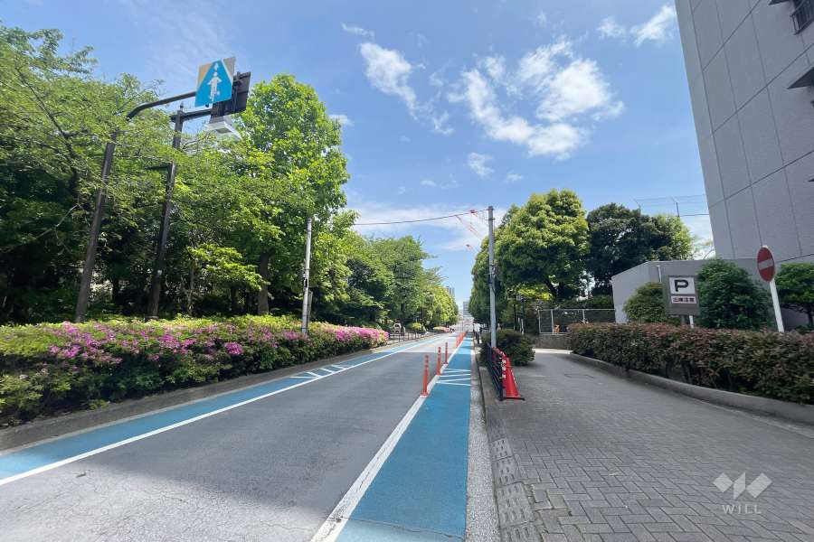 敷地北側の前面道路