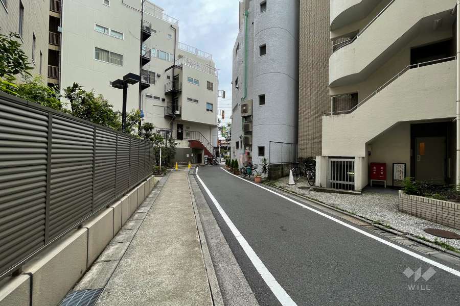 敷地北側の前面道路（西側から）