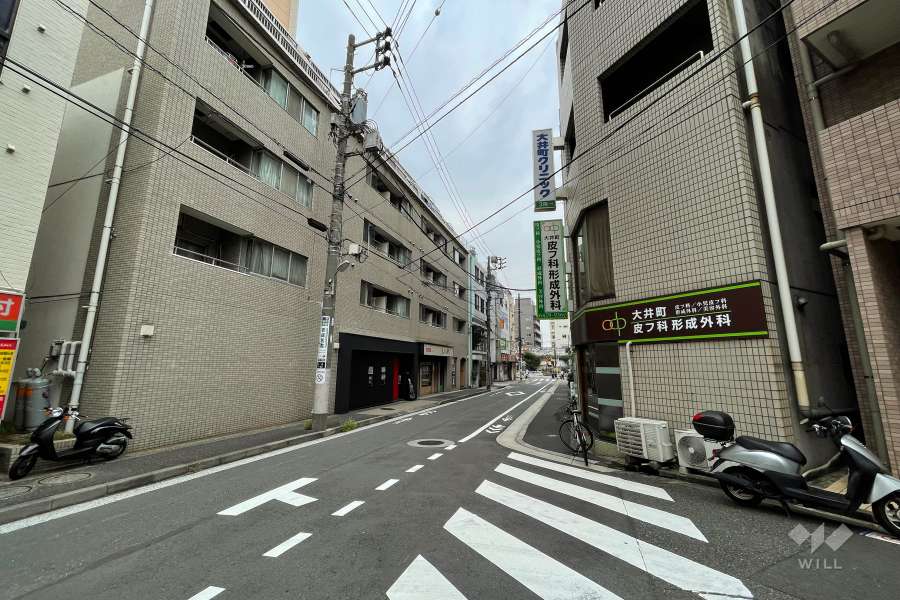 敷地南側の前面道路（西側から）