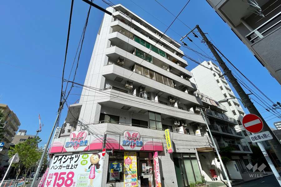 スカイコート大森の外観（南西側から）　