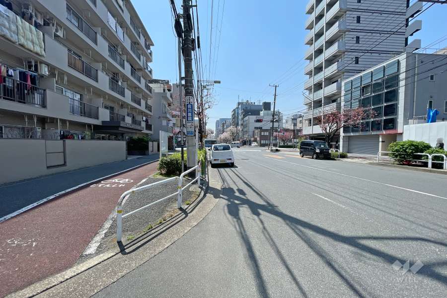 敷地西側の前面道路（北側から）