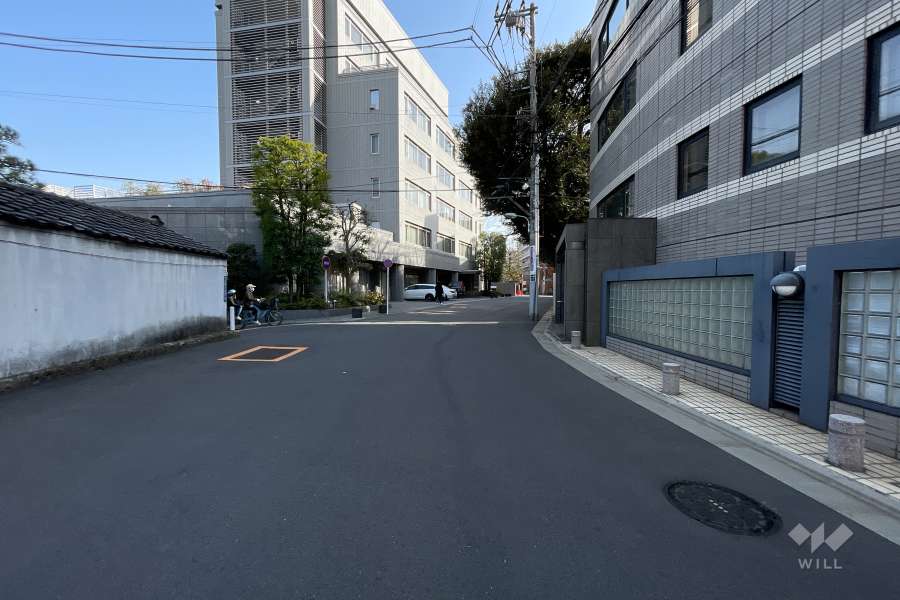 敷地東側の前面道路（北側から）