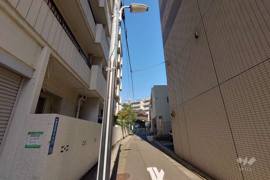 敷地東側の前面道路（南側から）