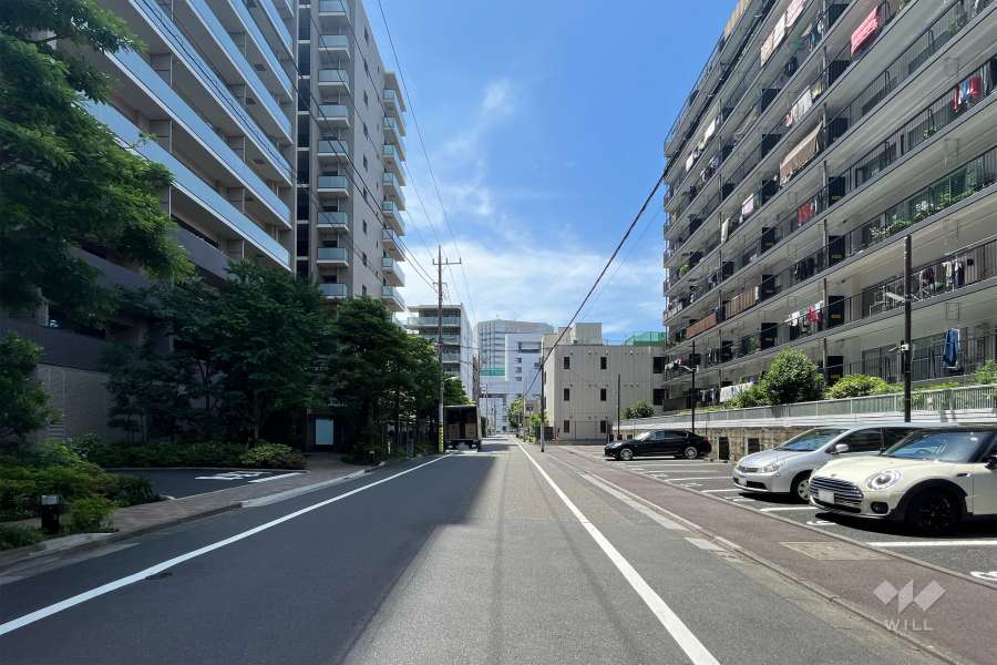 敷地東側の前面道路（北側から）