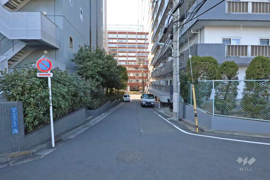 敷地の南側道路（東側から）