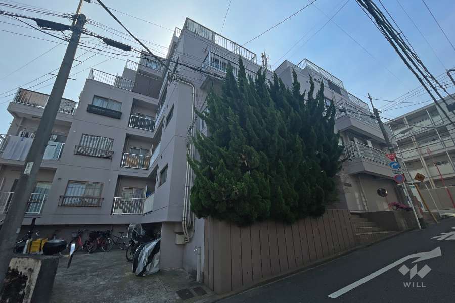 ヨーコーハイツの外観（北西側から）