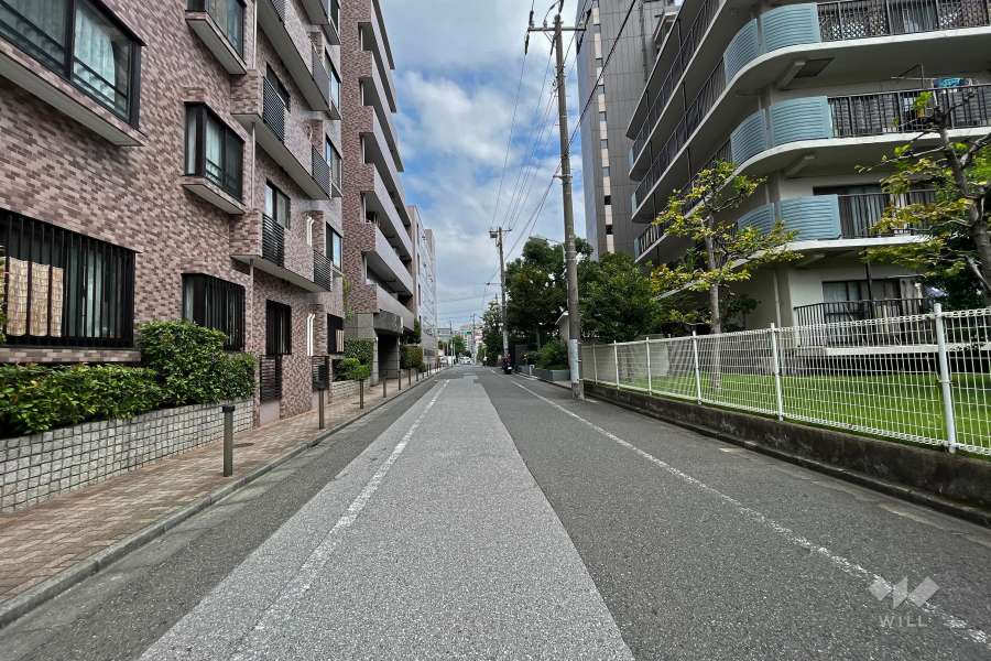 敷地東側の前面道路（西側から）