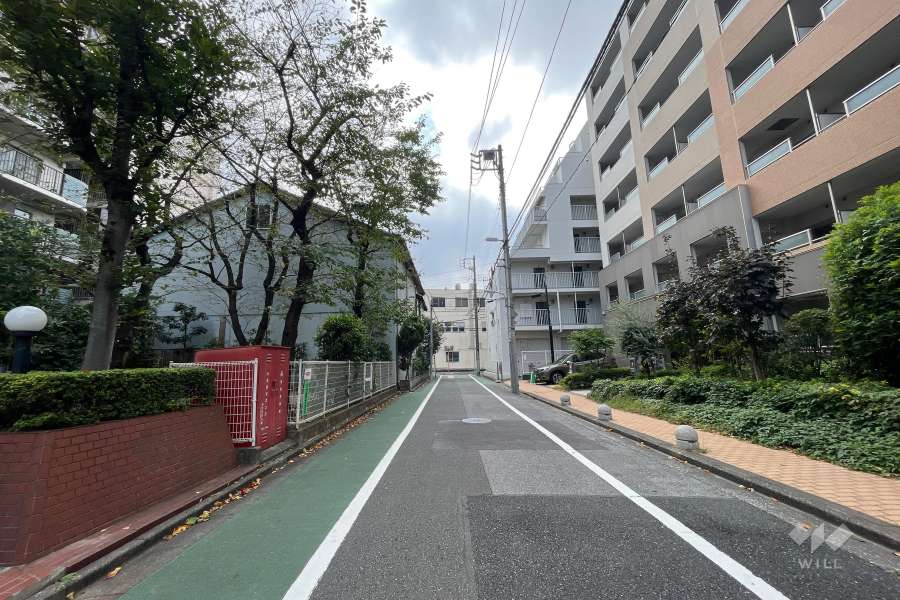 敷地西側の前面道路（北側から）