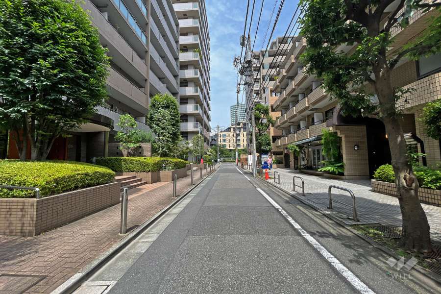 敷地北側の前面道路（西側から）