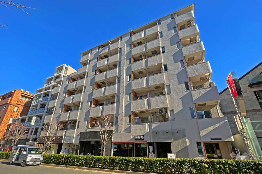 目黒三田フラワーマンションの外観（南側から）