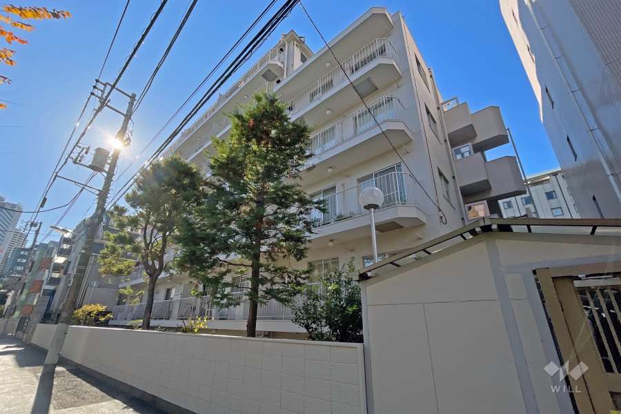 目黒三田フラワーマンションの外観（北側から）