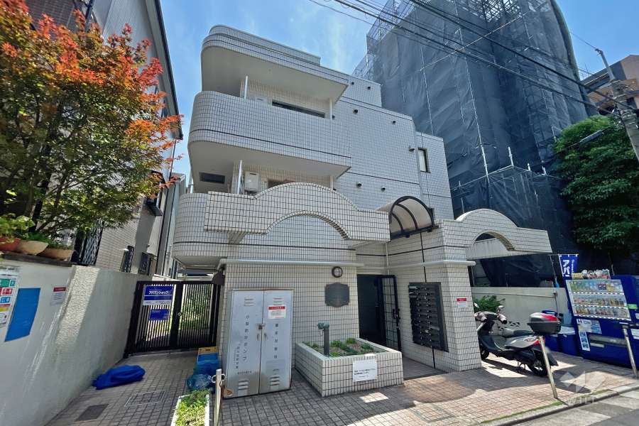 メゾンドセリバテールの外観（北東側から）