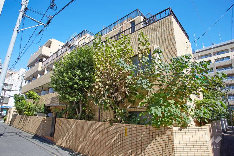 メゾン・ド・パナシェの外観（南西側から）