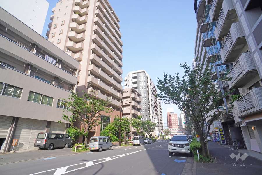 敷地北側の前面道路　