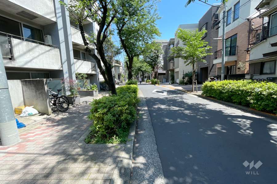 敷地西側の前面道路