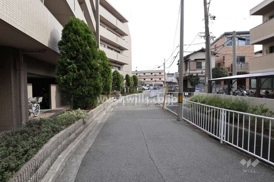 敷地西側の道路。車の進入はできません。
