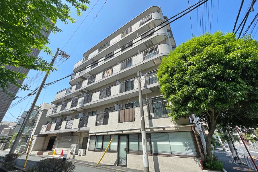 セザール戸越の外観（北東側から）