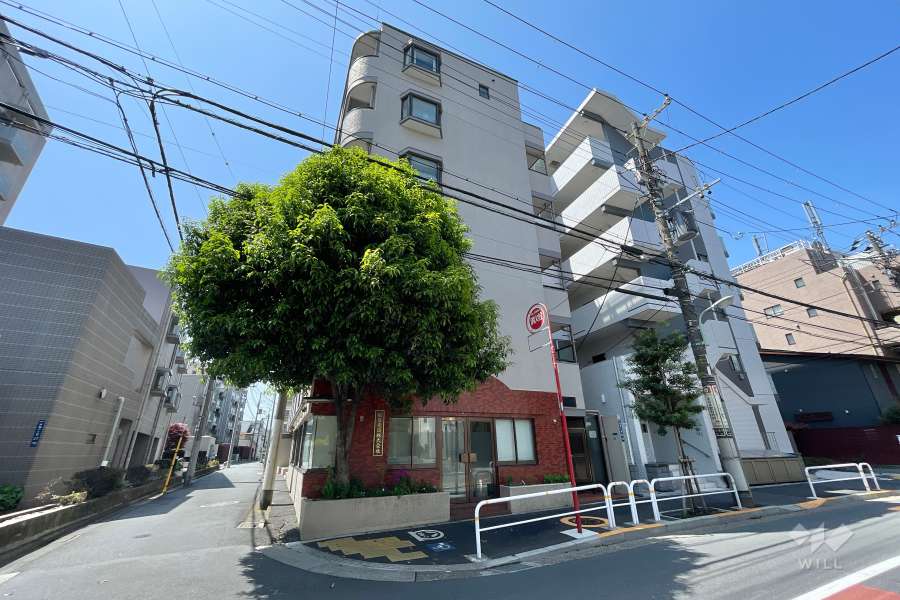 セザール戸越の外観（北東側から）