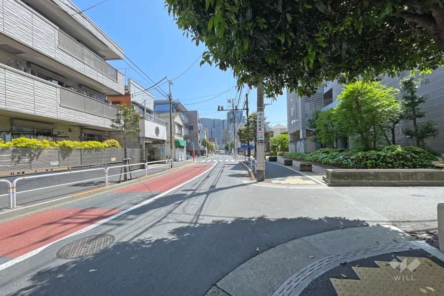 敷地北側の前面道路（西側から）