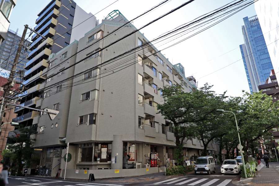 グレイス五反田の外観（東側から）