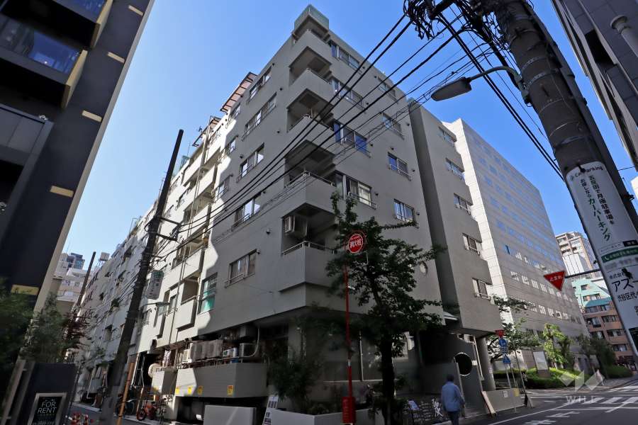 グレイス五反田の外観（南東側から）