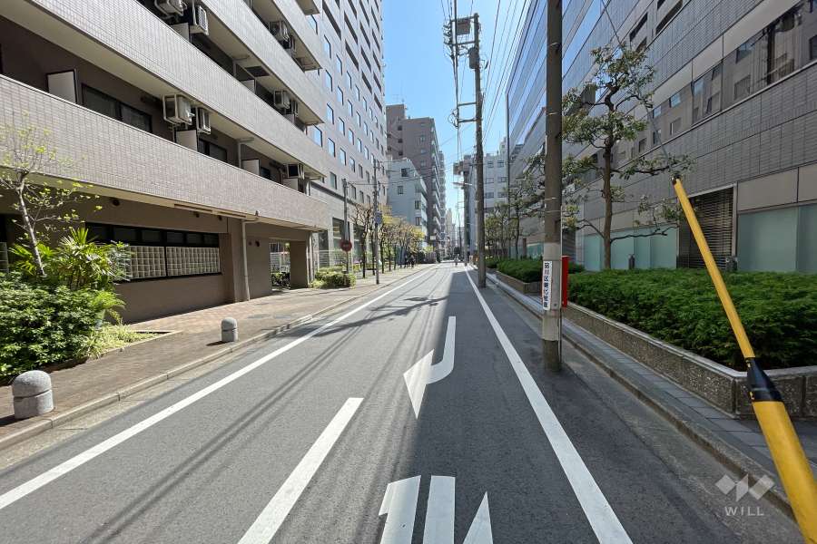 敷地南側の前面道路（西側から）