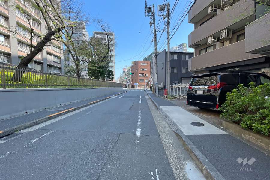 敷地北西側の前面道路（南西側から）