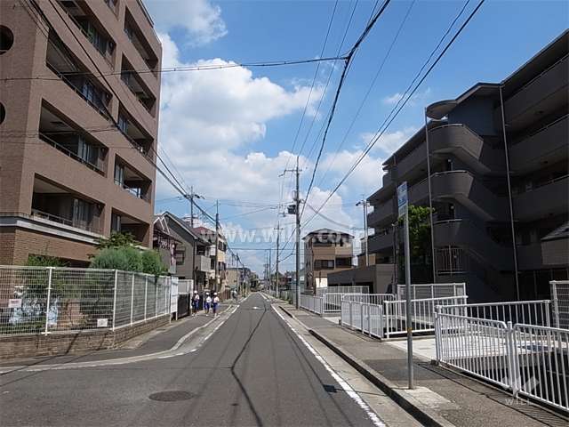 敷地南側の前面道路。周辺は区画の整った静かな住宅地です。