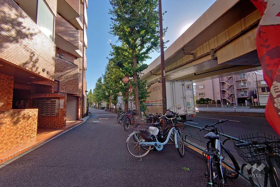 敷地西側の前面道路（北側から）