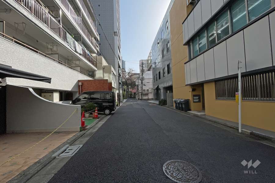 敷地南側の前面道路（西側から）