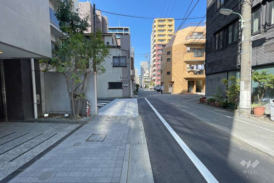敷地東側の前面道路（南側から）