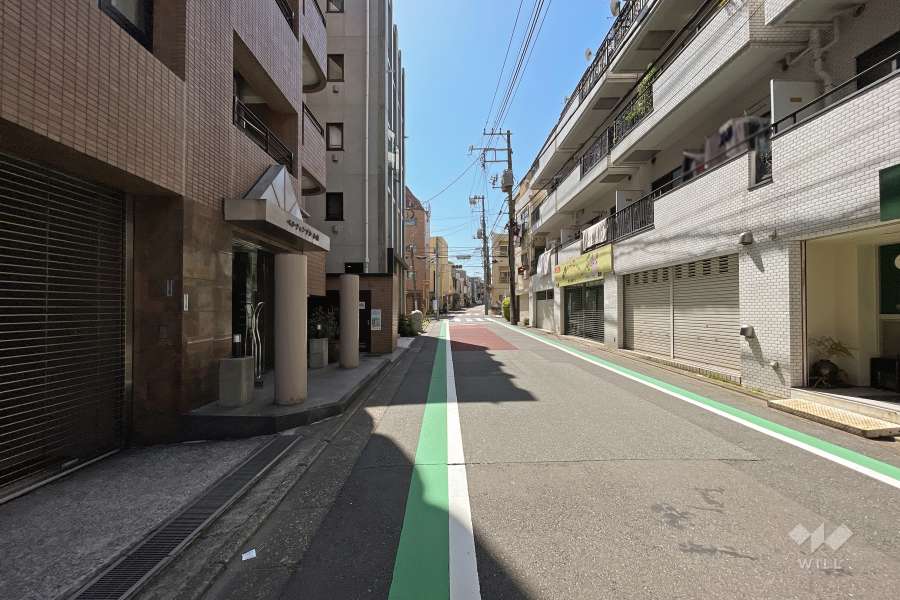 敷地北側の前面道路（東側から）