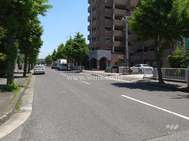 敷地北側の前面道路（西側から）