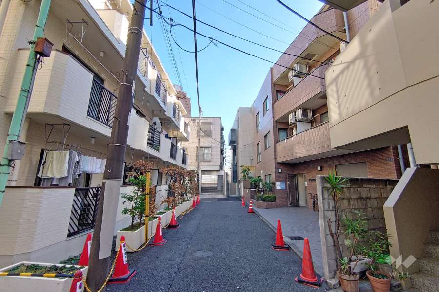 敷地西側の前面道路（北側から）