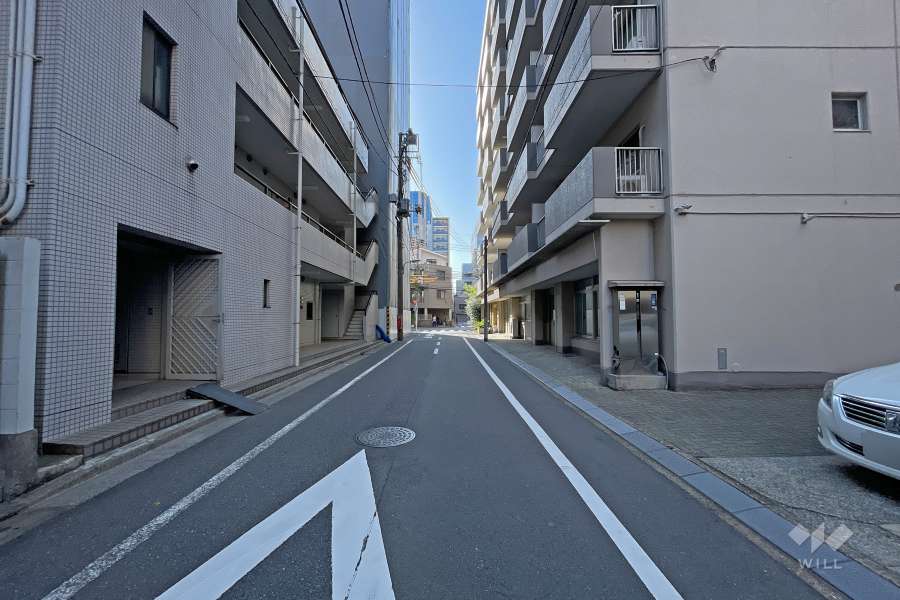 敷地南側の前面道路（西側から）