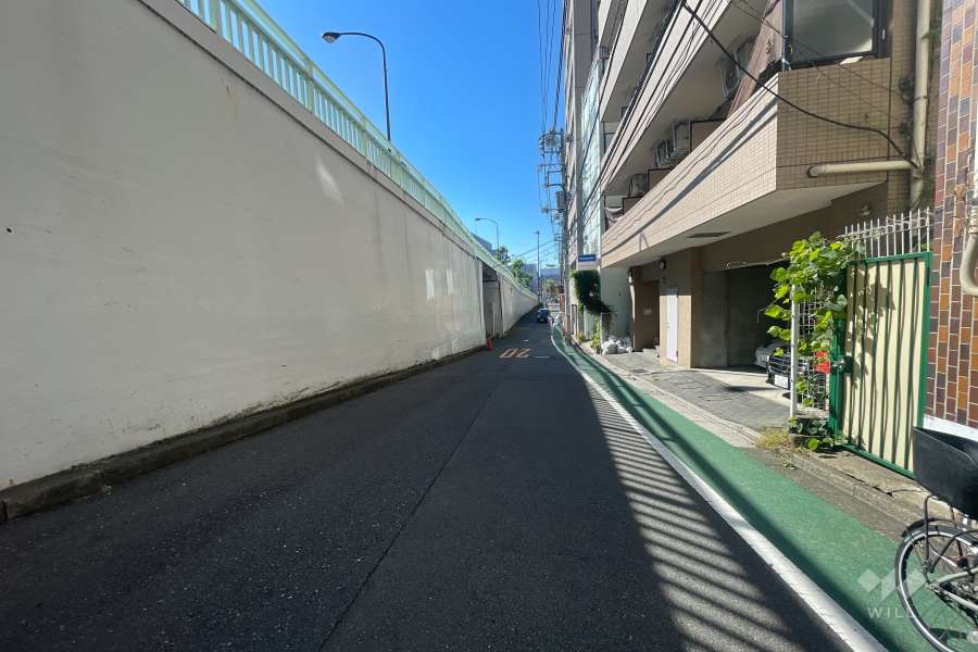 敷地南東側の前面道路（北東側から）
